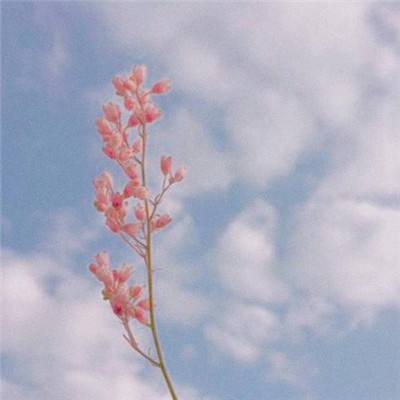 梁山豪杰gm版下载